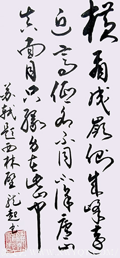 饶龙起作品《题西林壁》.png