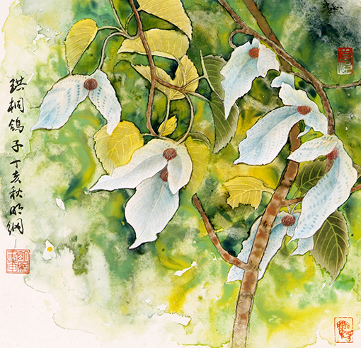 陈明纲作品《珙桐鸽子》.jpg