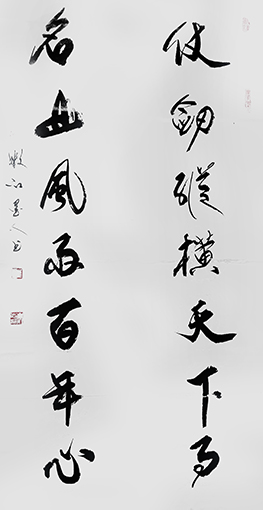 崔永志作品 《仗剑纵横天下事，名山风雨百年心》.jpg