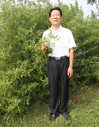 孙成效照片.jpg