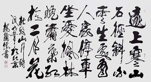杨翰儒作品3.JPG