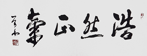 胡曾禹作品《浩然正气》.jpg