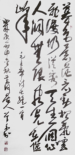 胡曾禹作品《毛泽东诗词》.jpg