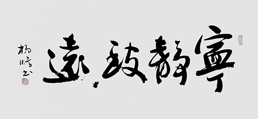 杨鹏作品4.jpg