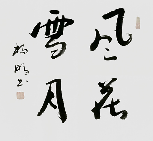 杨鹏作品6.jpg