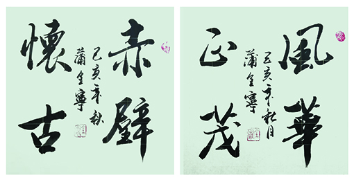蒲全宁作品2《风华正茂》《赤壁怀古》.jpg