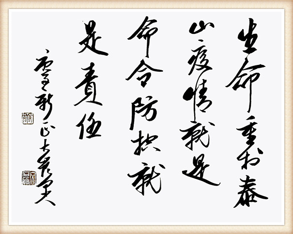 康文磊《生命重于泰山，疫情就是命令，防控就是责任》.jpg