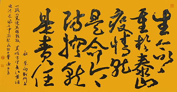 赵珂作品 《生命重于泰山，疫情就是命令，防控就是责任》.jpg