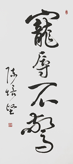 陈培坚作品8《宠辱不惊》.jpg