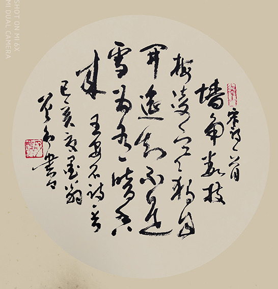 胡曾禹作品 《梅花》.jpg