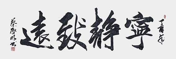 蔡启明作品9《宁静致远》.jpg