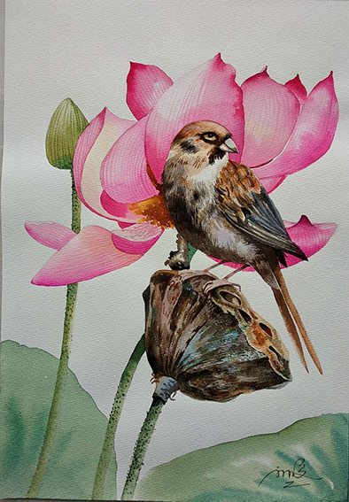刘洪义作品17 水彩《盛荷与枯莲》.jpg