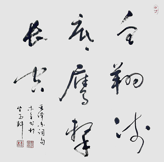 史介鸿作品8 毛主席诗句《鱼翔浅底 鹰击长空》68×68cm 2017年.jpg