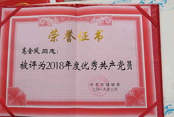 “2018年度优秀共产党员”荣誉证书.jpg