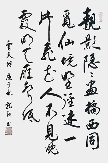 饶龙起 书法作品10.jpg