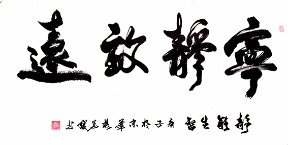 杨茗媛作品10《宁静致远》.jpg