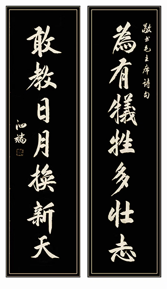 张泗端作品 行书 毛主席诗句联《为有牺牲多壮志 敢教日月换新天》 138X69cm 2021年作.jpg