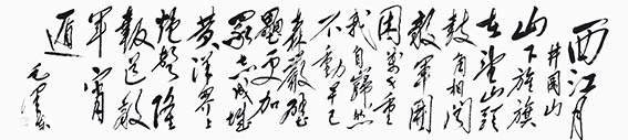 翟德泉作品9.jpg