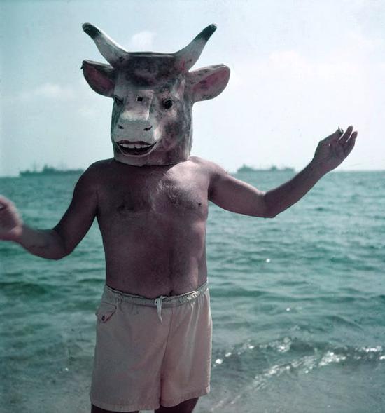 毕加索，1959