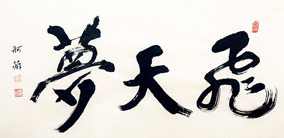 赵珂作品《飞天梦》.jpg
