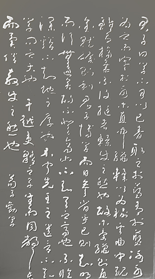 张景效作品17.jpg