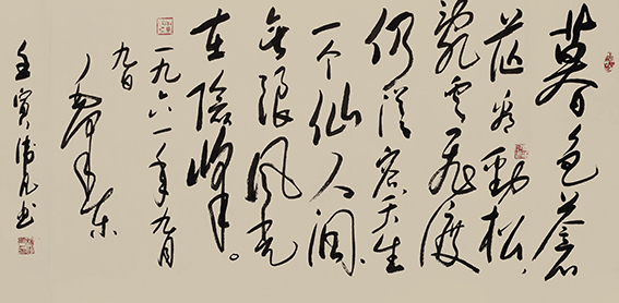 杨卫凡作品.jpg