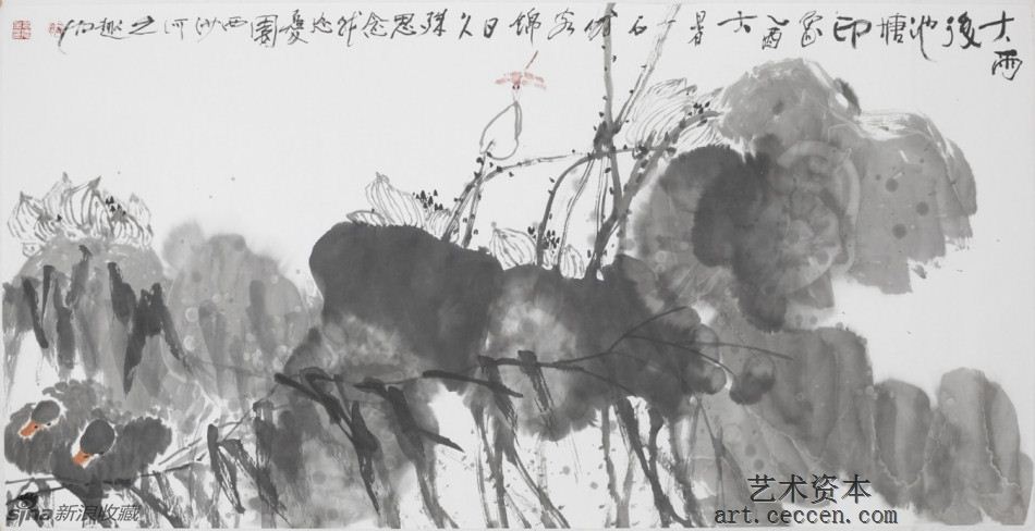 2005大雨后池塘印象