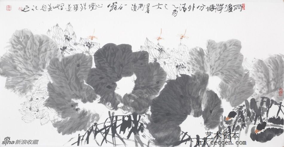 2005雨后荷塘分外清