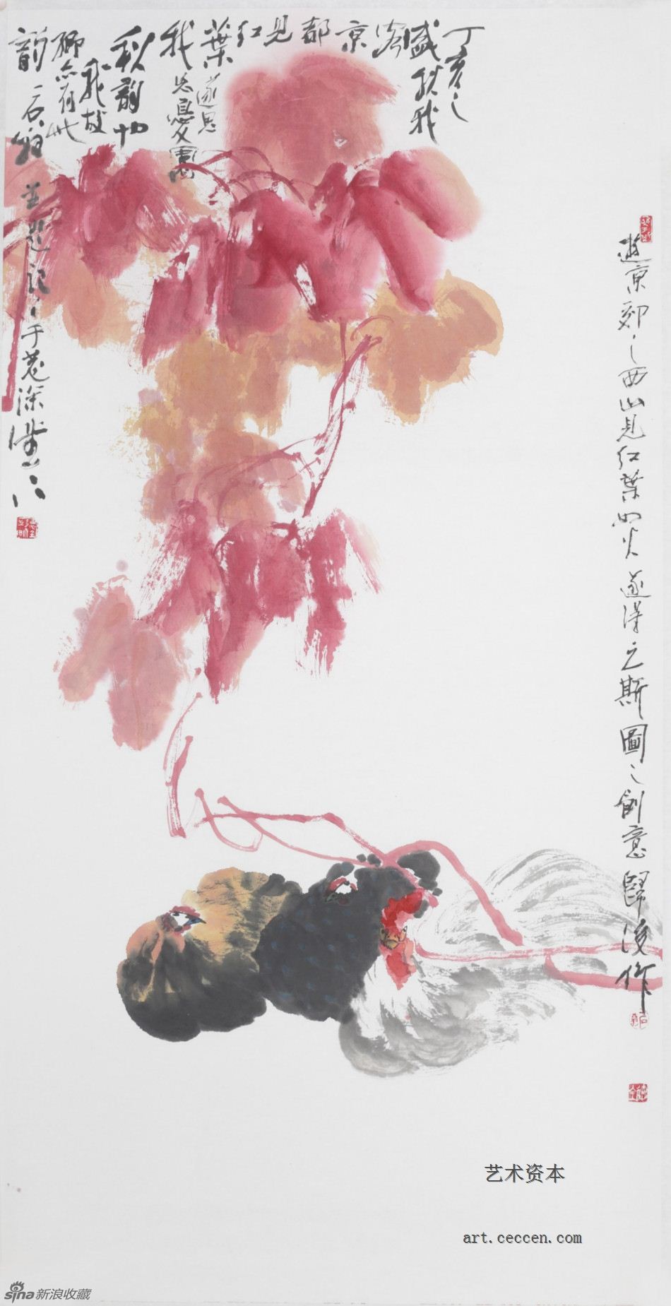 2007忘忧园秋韵