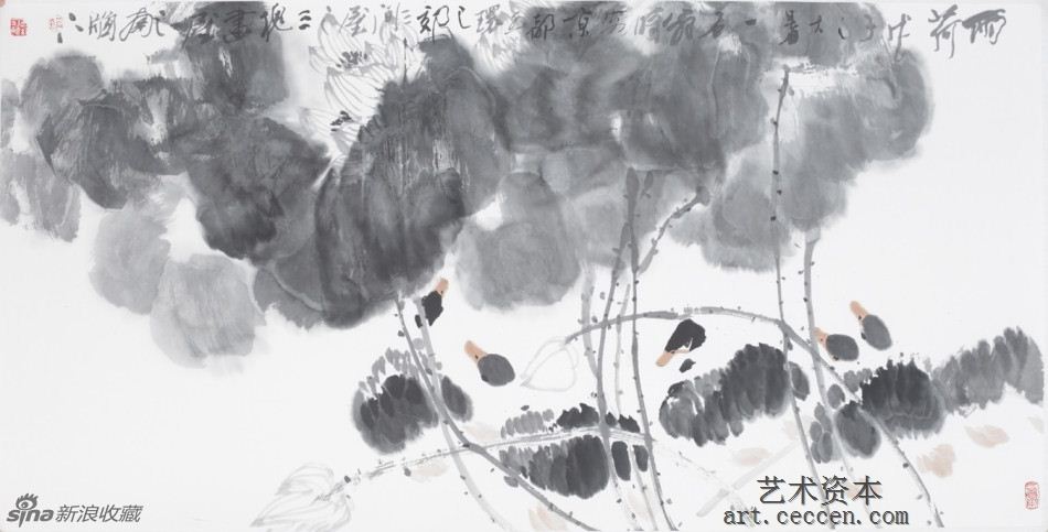 2008雨荷