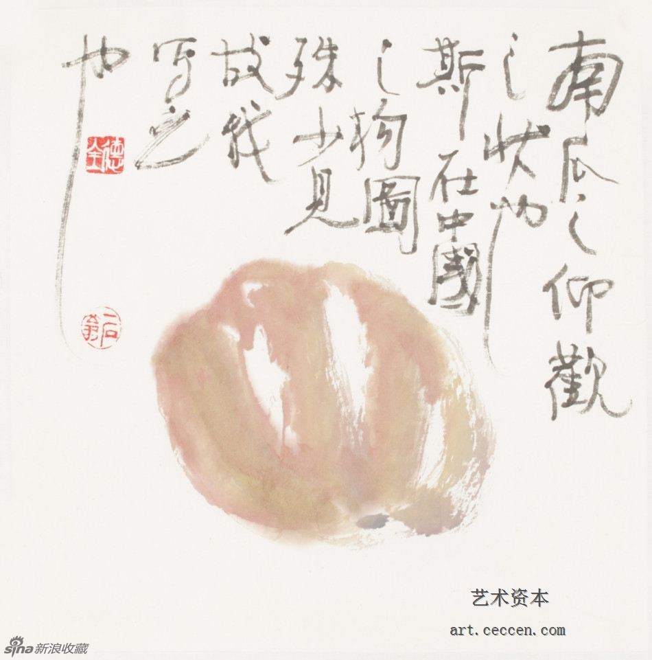 2009南瓜仰观之状