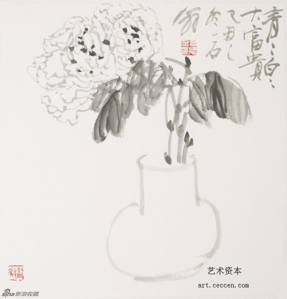 2009青青白白大富贵