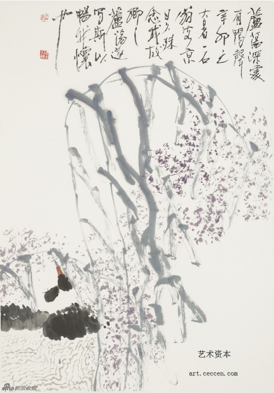 2011芦荡深处有鸭声