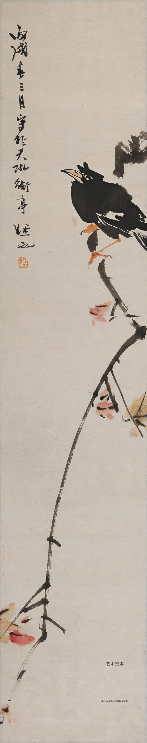 八哥-19x99-1947年