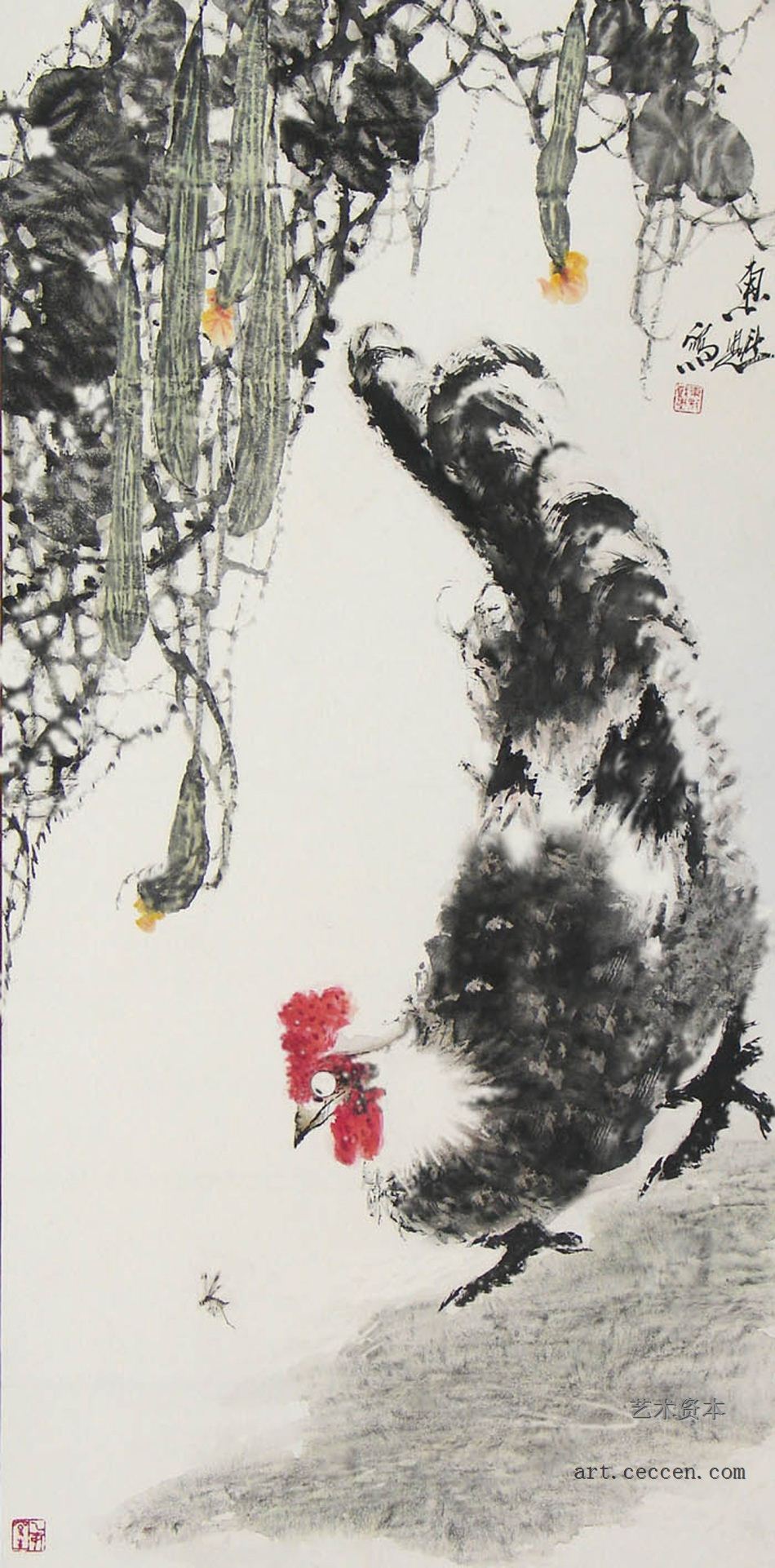 公鸡
