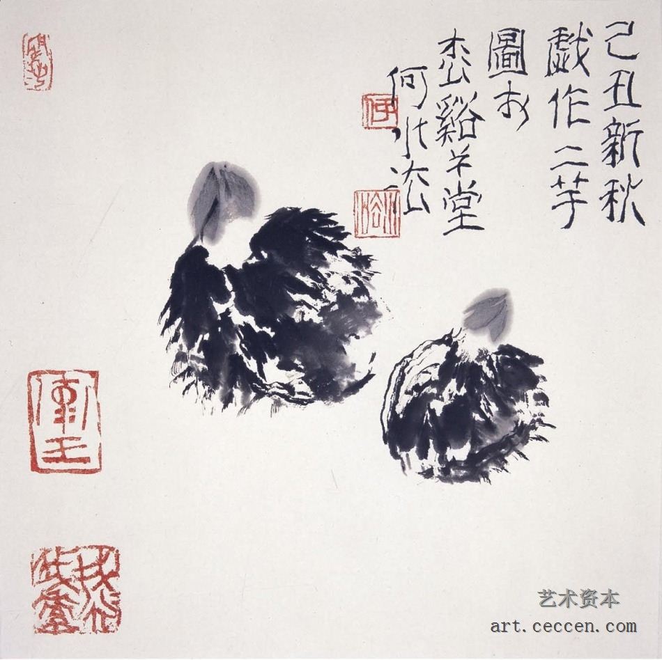 双芋2009