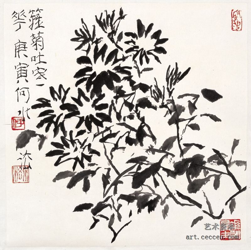 篱菊2010