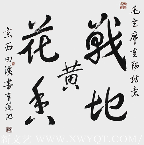 《毛主席重阳诗意》