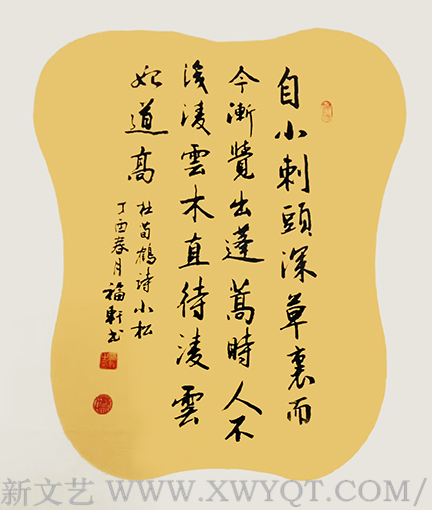 蔡福轩作品杜荀鹤《小松》