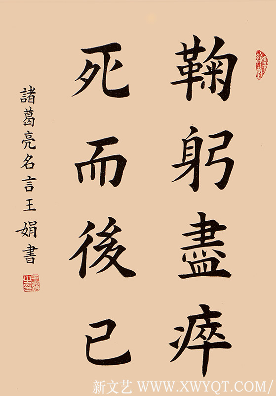 王娟作品10