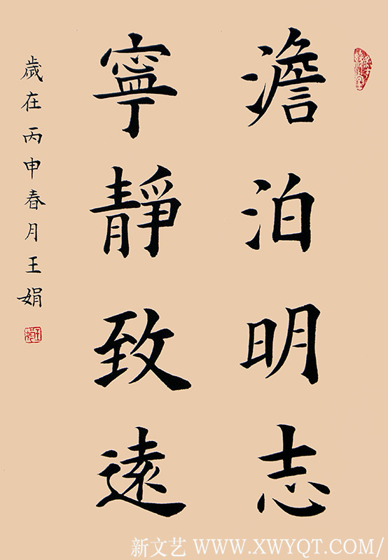 王娟作品11