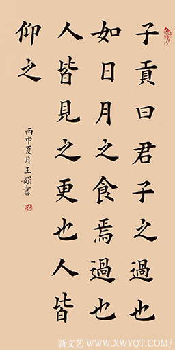王娟作品14
