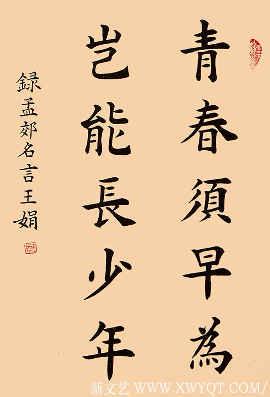 王娟作品8