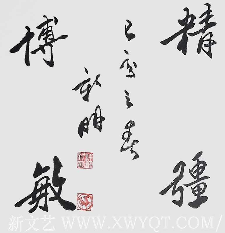 《精强博敏》