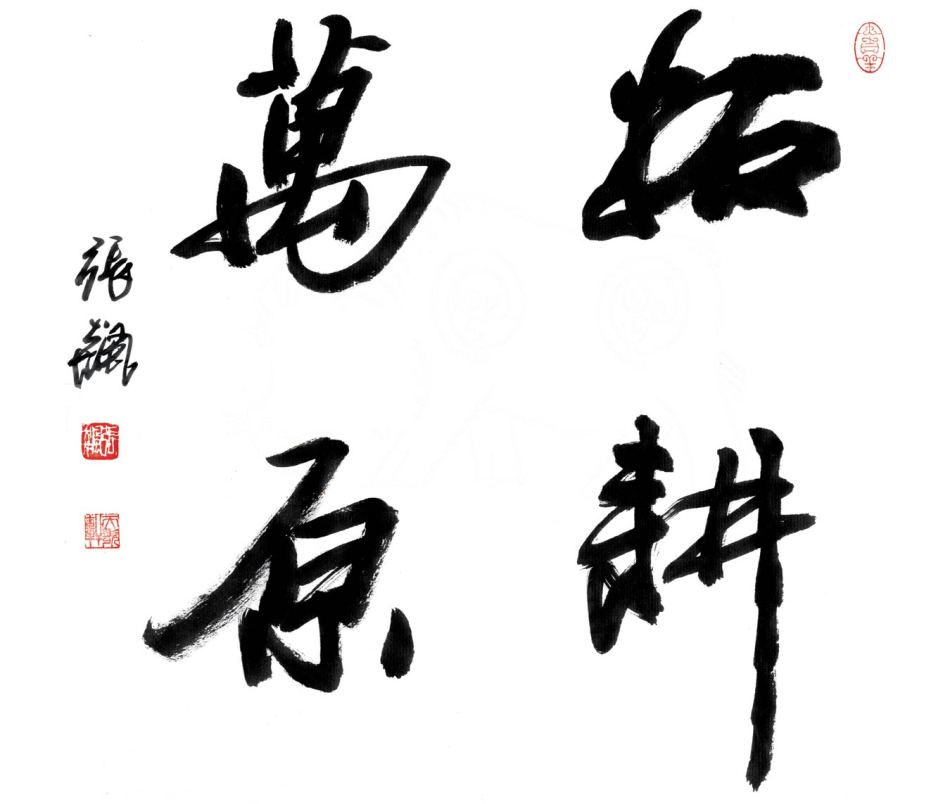 张飙书法作品欣赏(11)