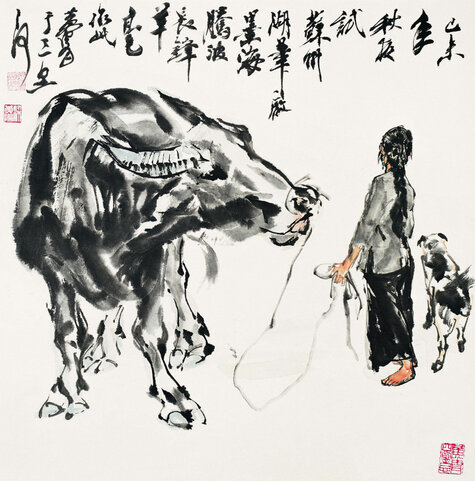 放牛