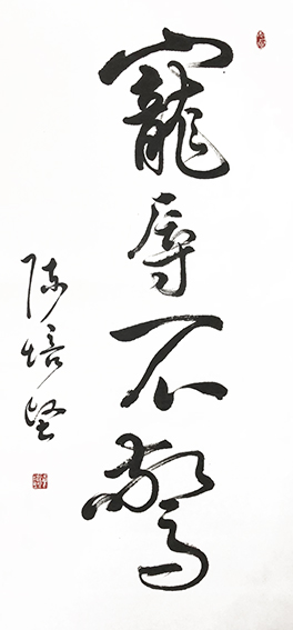 陈培坚作品11《宠辱不惊》