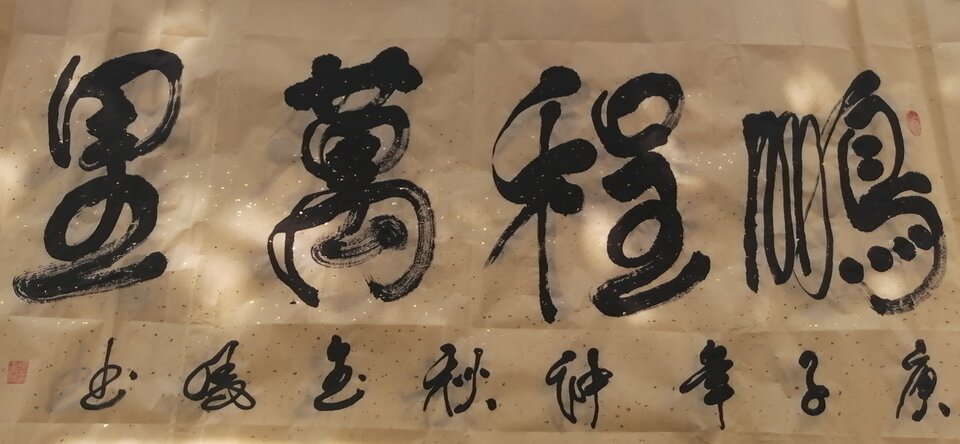 高金凤作品18《鹏程万里》