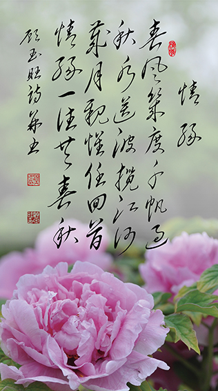 顾玉旺作品《情缘》释文：春风几度千帆过，秋水送波揽江河。岁月亲怀任回首，情缘一往共春秋。