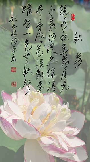 顾玉旺作品《秋荷》释文：镜水秋逢荷月光，千叶何从亦伴清。尽香风花溢飘远，跃然一色共秋声。